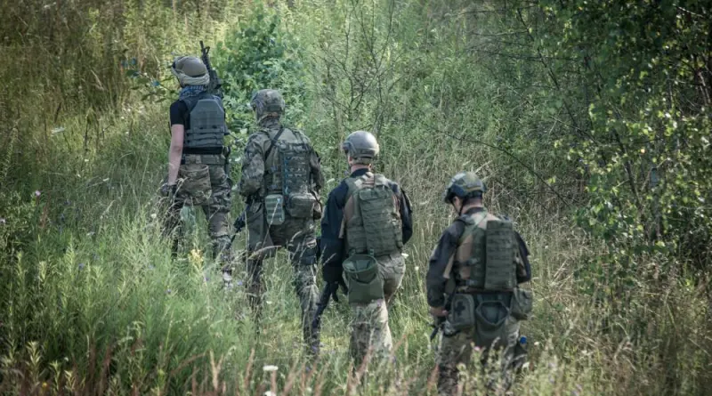 militari in guerra partito sistema paese